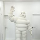 미쉐린타이어 이미지