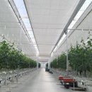 미래플러스팜 이미지