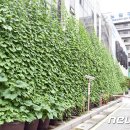 중계2.3동주민센터 이미지