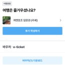 네덜란드 튤립축제 쾨겐호프 후기 및 입장권 할인코드