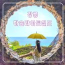강원도 가볼만한곳 강릉 하슬라아트월드 입장권 할인 포토존 카페브런치