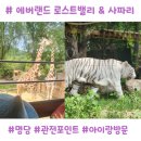 와일드아마존 | 에버랜드 로스트밸리 명당 &amp; 사파리 명당 총정리! 대기 없이 다녀온 후기