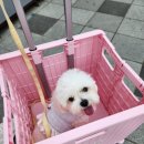 백호1길 이미지