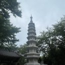 한 부산여행 2일차 감천문화마을-자갈치시장 부산횟집-해운대-송정해수욕장-해동용궁사, 여름휴가 추천
