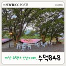 수덕사 진입로 이미지