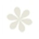 POINT - 正, 이미지