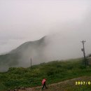 자연1호 이미지