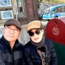 하이고래 이미지