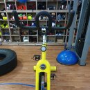 안양윈복싱클럽 이미지