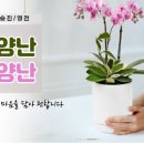한다발플라워 이미지