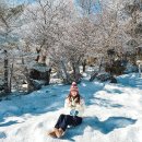 제주도 1100고지습지 탐방로 제주 겨울 설경