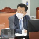 주먹구구 서울뉴스통신