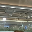 시너지커피 - 동작구 노량진로6길 2 | 시너지 다이어트 내돈내산 후기 7일 후 유지하는 방법
