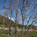화산2리마을회관 | 속리산둘레길(문경길12구간 일부)
