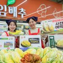 조공화원 이미지