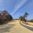 (주)양지 | 양지파인CC 동코스·서코스 라운딩 후기, 3월인데도 컨디션 좋았던 하루