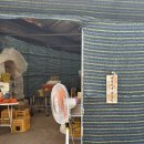 금동농장 | 9월 제주도 여행 귤따기 체험 금동이네 귤농장 그린향 따기