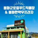 프라자 | 봉화군로컬푸드직매장 &amp; 봉화한약우프라자!(솔직후기)
