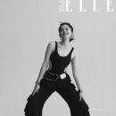 까멜리아 이미지