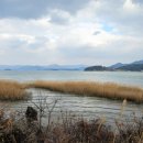 새들펜션민박 이미지