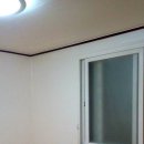 서림동-17 Daum카페
