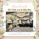 휴700 | 파워 J의 결혼 준비 - 경기 양평 소노휴 웨딩 투어 상담 후기