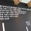 홍은애견미용 이미지