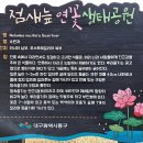 안심창조밸리 천천둘레길 | 점새늪 연꽃 생태공원/안심습지