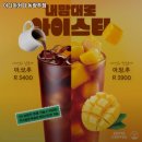 이디야동광주