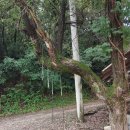 살구골낚시터 이미지