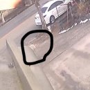 평동산단3번로 이미지