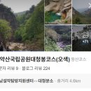 양양군청 | [무박2일 설악산 대청봉코스]단풍현황, 오색코스, 등린이후기