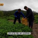 전통떡집쑥떡쑥떡 이미지