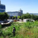 강남14길(정하동) 이미지