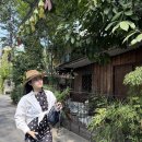 정 ‘S 커피앤정 ‘S 식당 | 도이수텝 야경, 올드타운, 소품샵, 부리라타나 호텔, 바트커피, 망고스티키라이스,육사마이, 프릴리피자 )