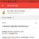몽그라운드
