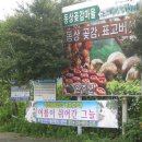 대아연탄 Daum카페