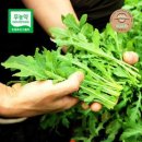 다정한 농장 이미지