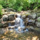 여울숲펜션 이미지