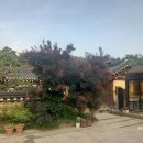 고당 | 남양주 한옥카페 고당 후기 faet.냉면