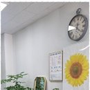 금강부동산 공인중개사사무소 이미지