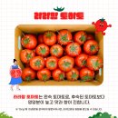 라라통신 이미지