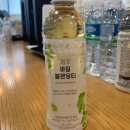 2023 제주창조경제혁신센터 네트워킹데이 참여후기 / 로컬크리에이터 창업진흥원