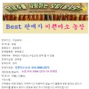 싱싱한 ㅡ 취청 오이 4키로 이미지