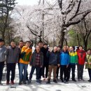 민들레여행 이미지