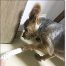 살랑가협동조합 이미지