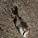 거제도파도소리가족낚시펜션 이미지