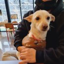 어반식당 이미지