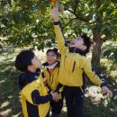 수성유치원 이미지