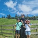 오대산늘벗 이미지